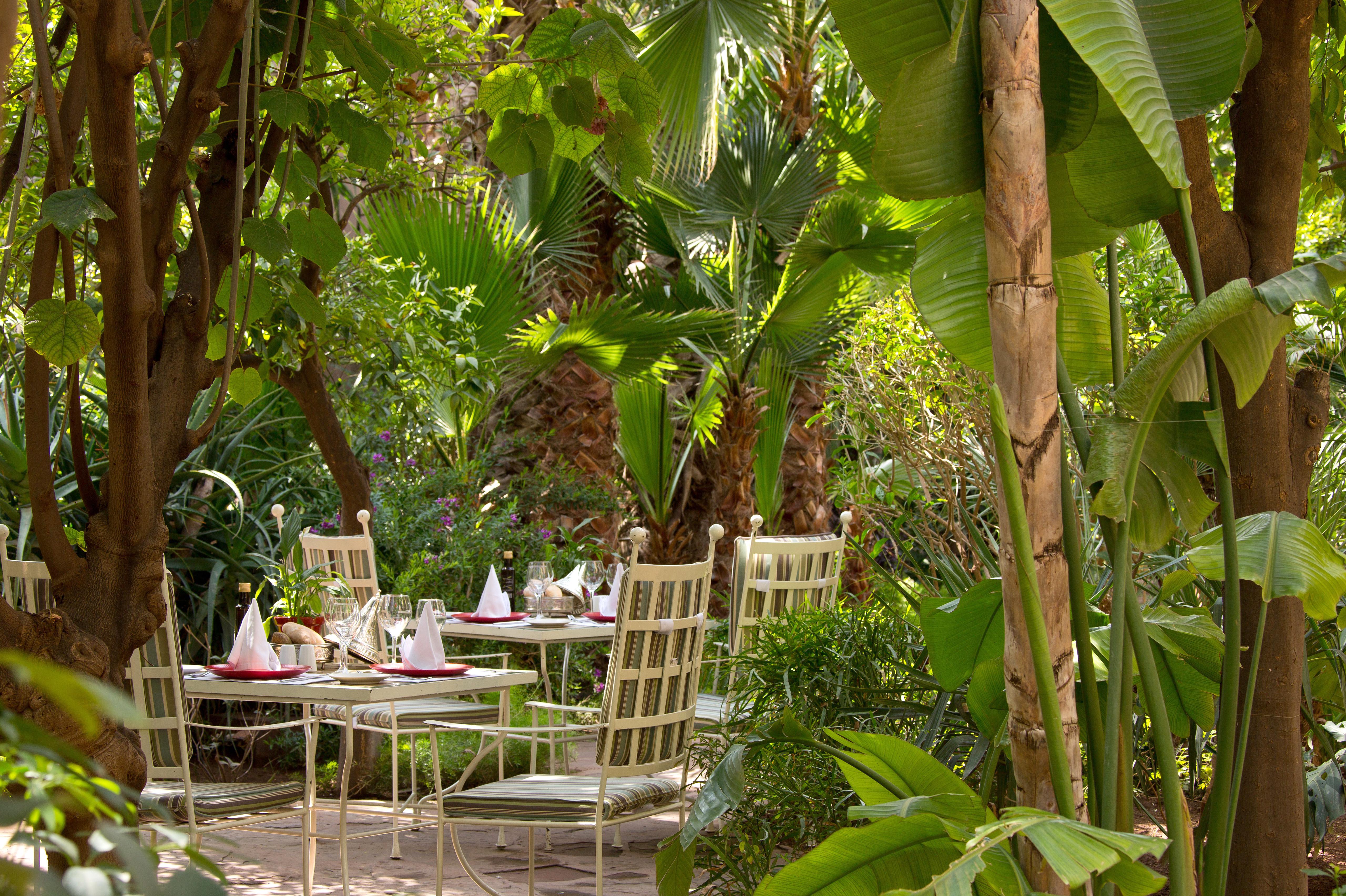 Les Jardins De La Medina Hotel Marrakesh Exterior foto The garden
